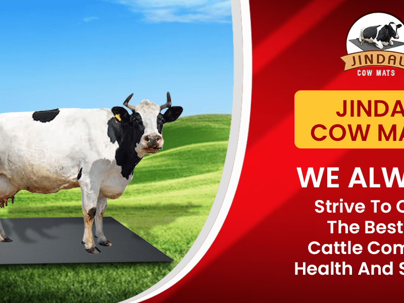 What are The Benefits of Cow&nbsp;Mats