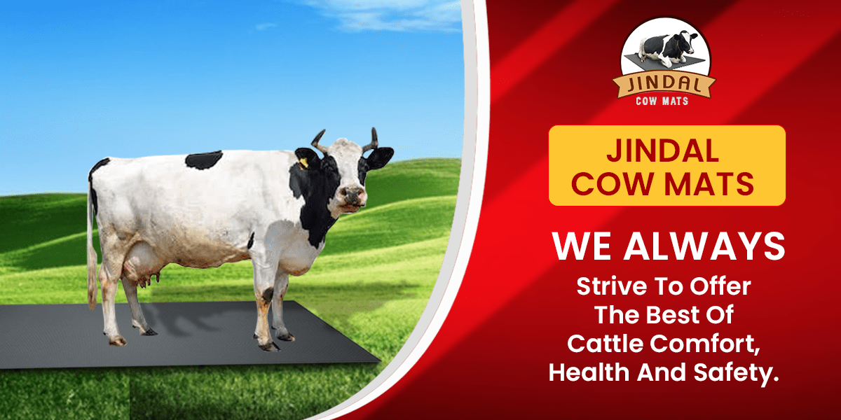 Jindal Cow Mat Company | Animal Mat Karnal